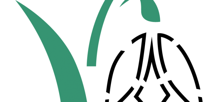 Logo wektorowe Śnieżycowy Jar – CDR, AI, EPS, PDF, SVG